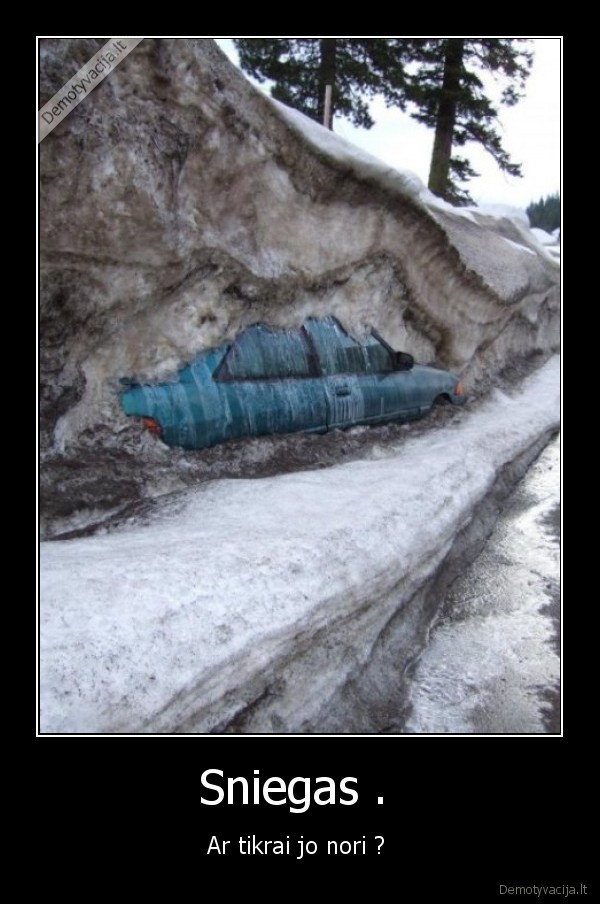 Sniegas . 