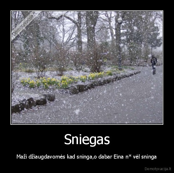 kubilius, turi, daug, sniego