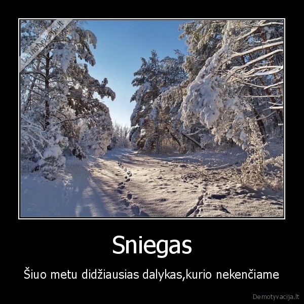 sniegas