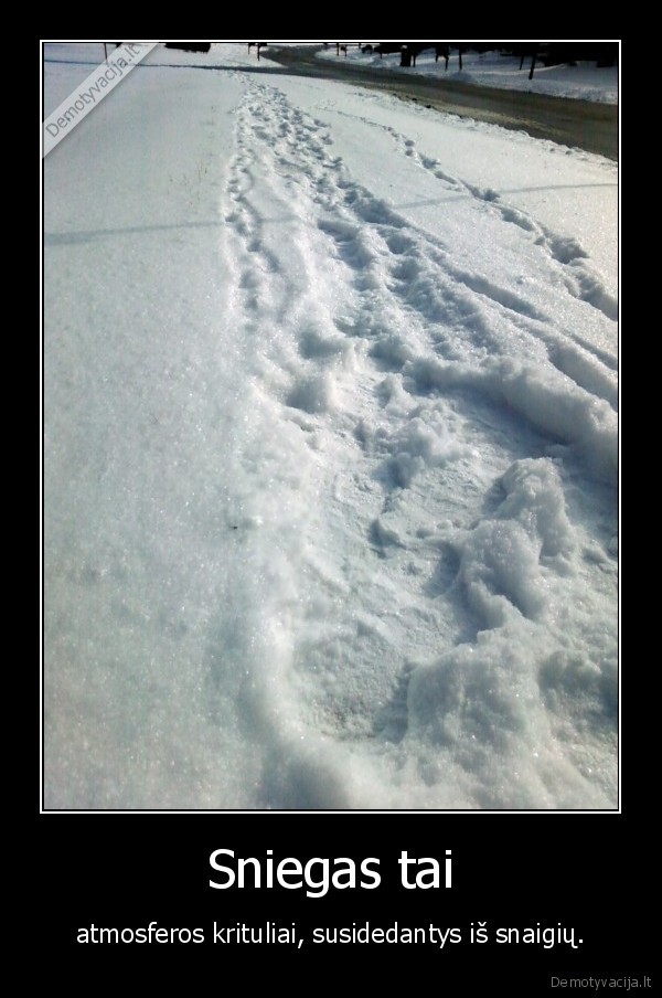 sniegas,krituliai,snaiges