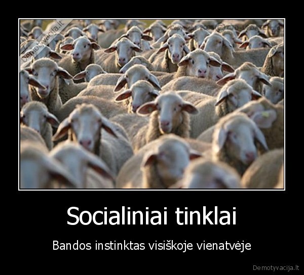 Socialiniai tinklai