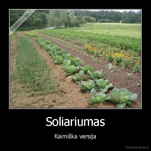 Soliariumas