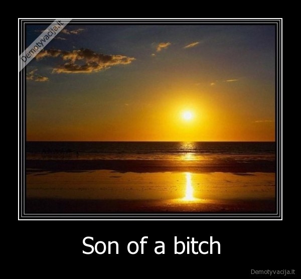 Son of a bitch