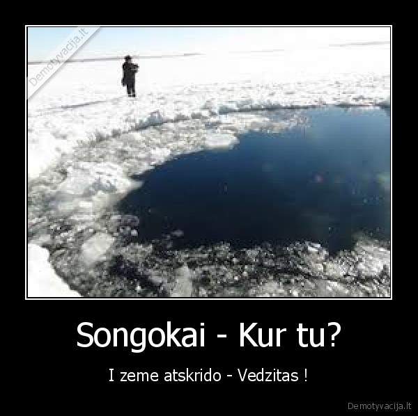 songokas,vedzitas,dragon, ball, z,nameikai