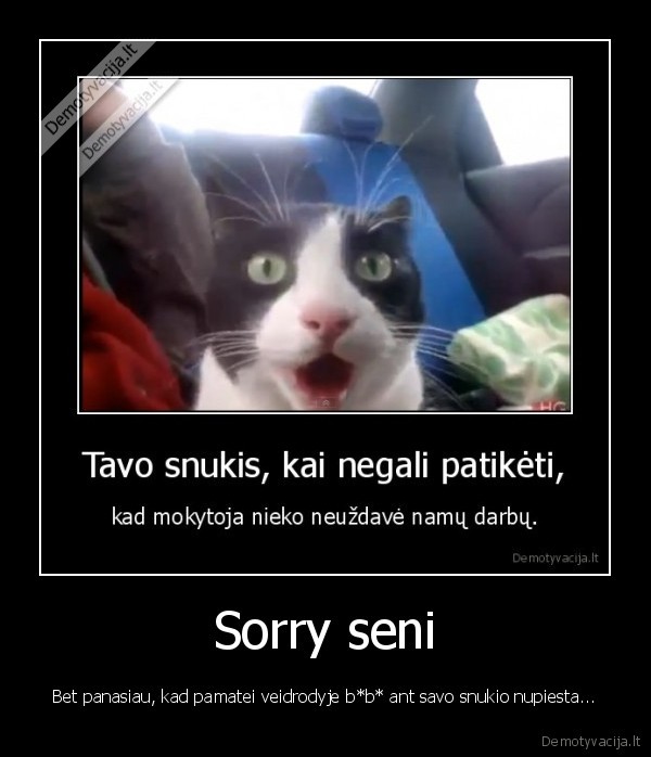 katinas, bbs, ishsiziojelis