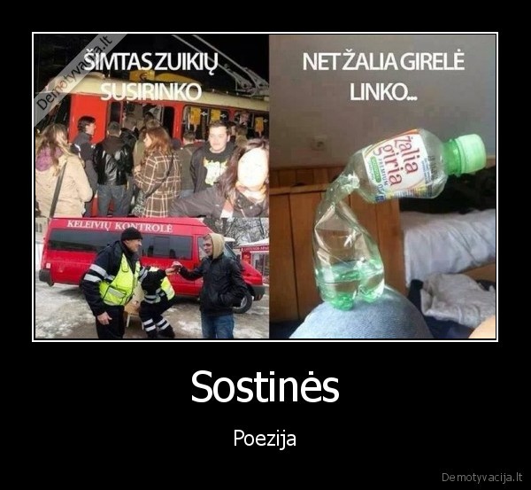 zalia, giria,zuikiai,keleiviu, kontrole