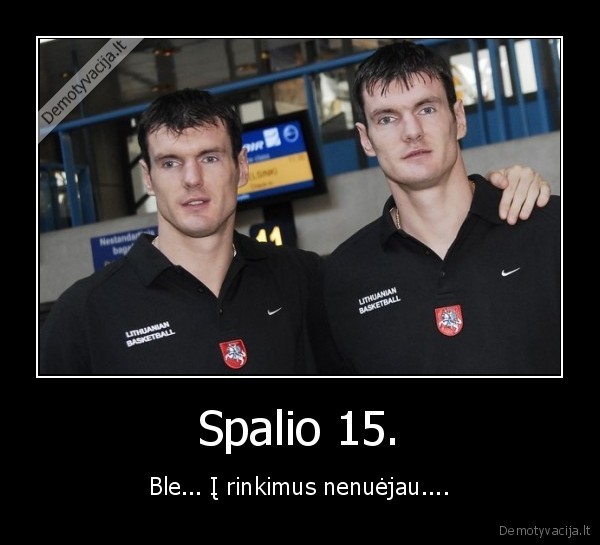 nu, neisrinkite, ju, i, seima