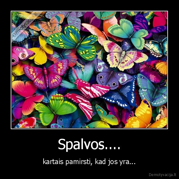 Spalvos....