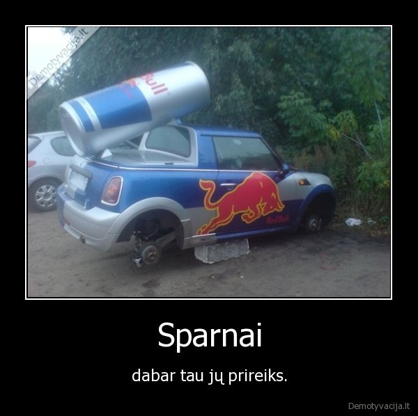 red, bull,sparnai,ratai