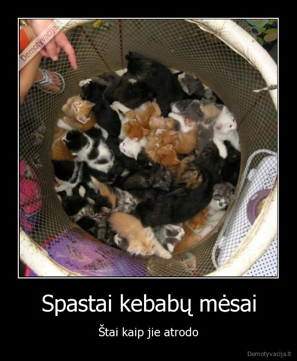 Spastai kebabų mėsai