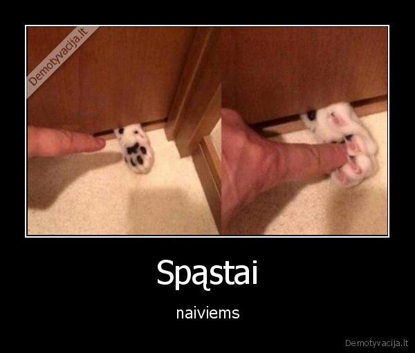 katinas,spastai