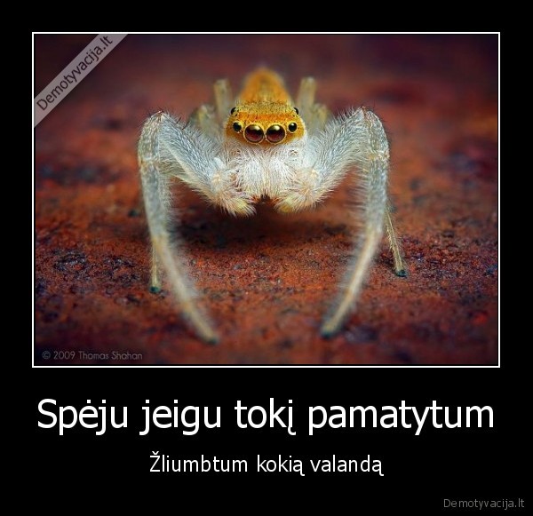 Spėju jeigu tokį pamatytum