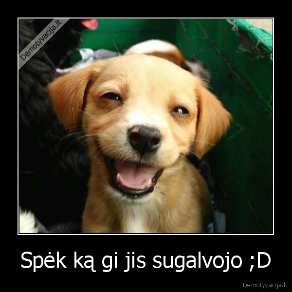 Spėk ką gi jis sugalvojo ;D