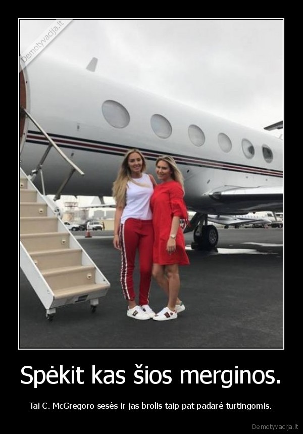 connor, mcgregor,seses,turtas