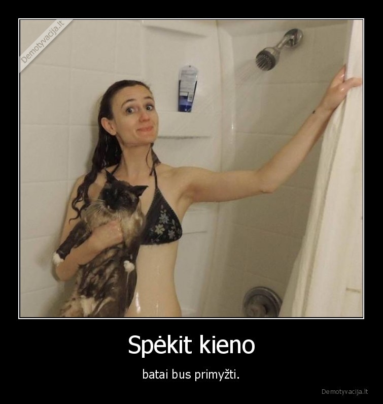 kate,katinas,batai,dusas