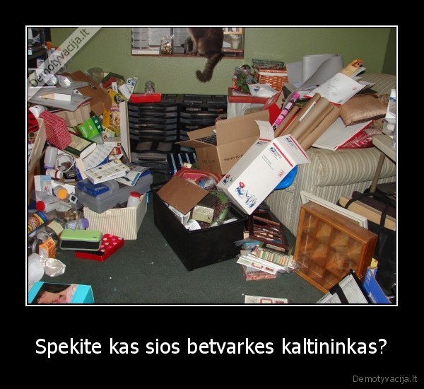Spekite kas sios betvarkes kaltininkas?
