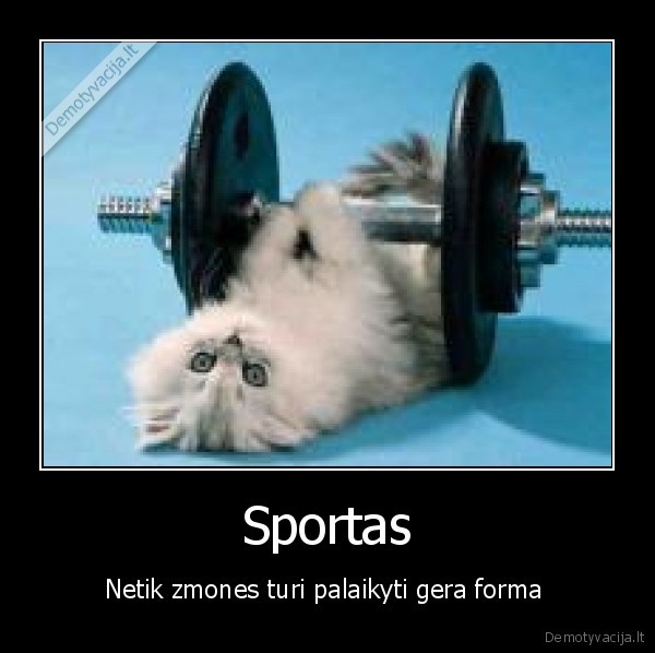 Sportas