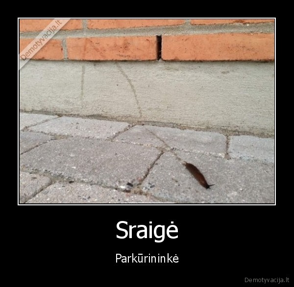 sraige,parkuras