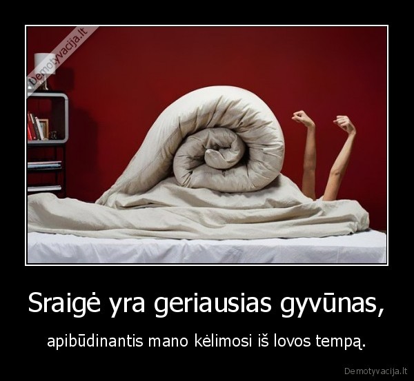 Sraigė yra geriausias gyvūnas,