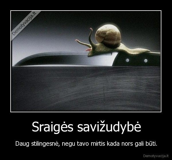 Sraigės savižudybė