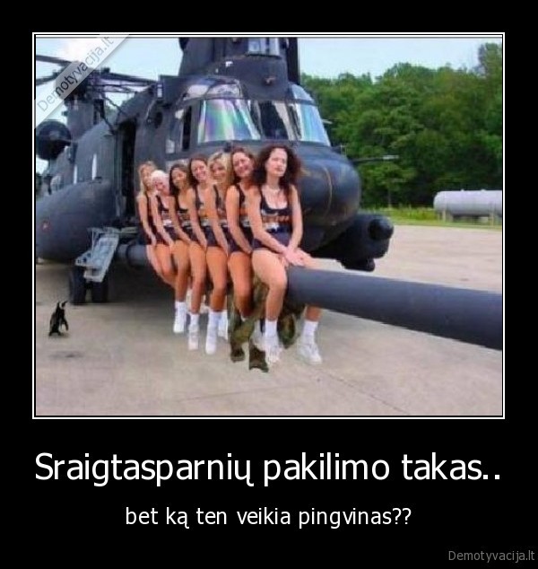 sraigtasparnis,pingvinas,moterys,wtf