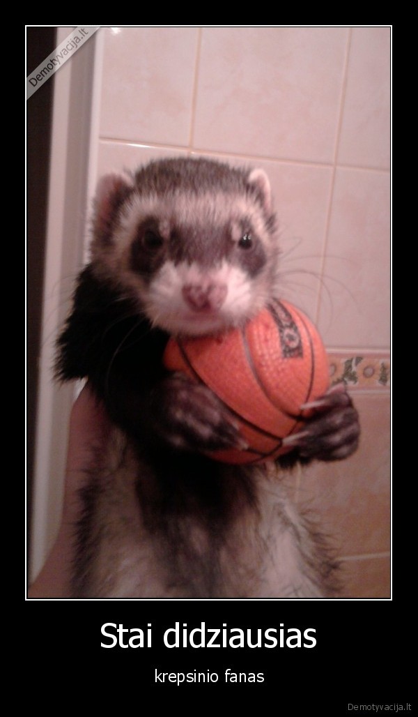 seskas, krepsinio, fanas