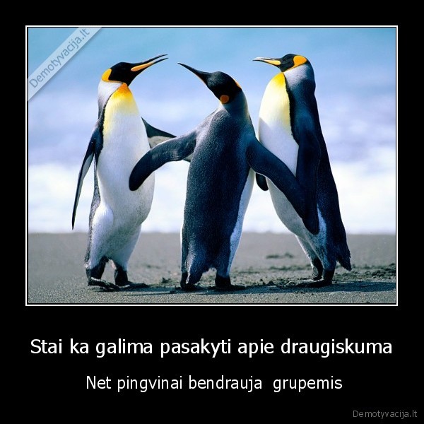 Stai ka galima pasakyti apie draugiskuma