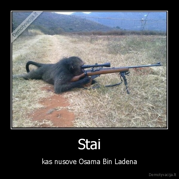 osama,bezdione,zudike