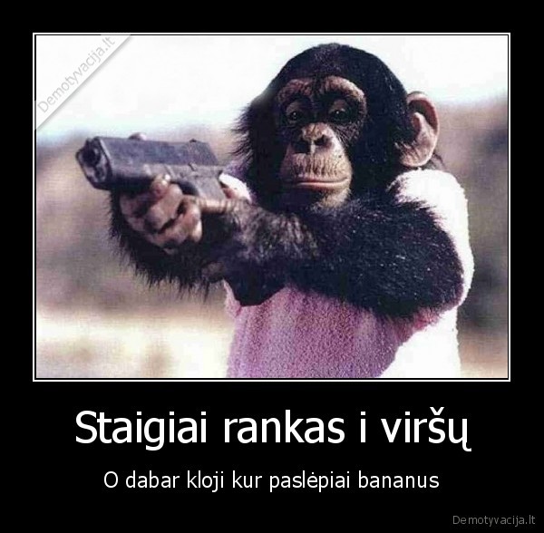 bezdzione,bananai,funny