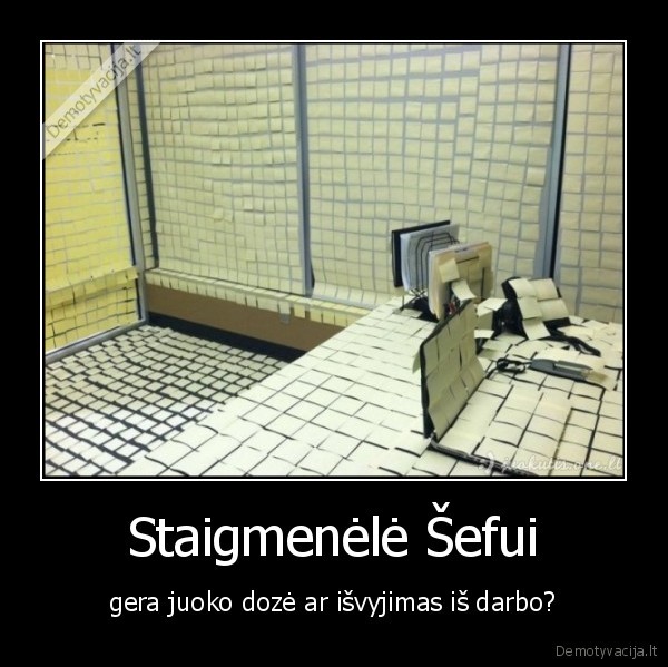 Staigmenėlė Šefui