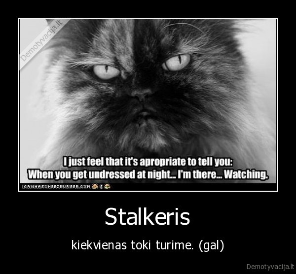 Stalkeris