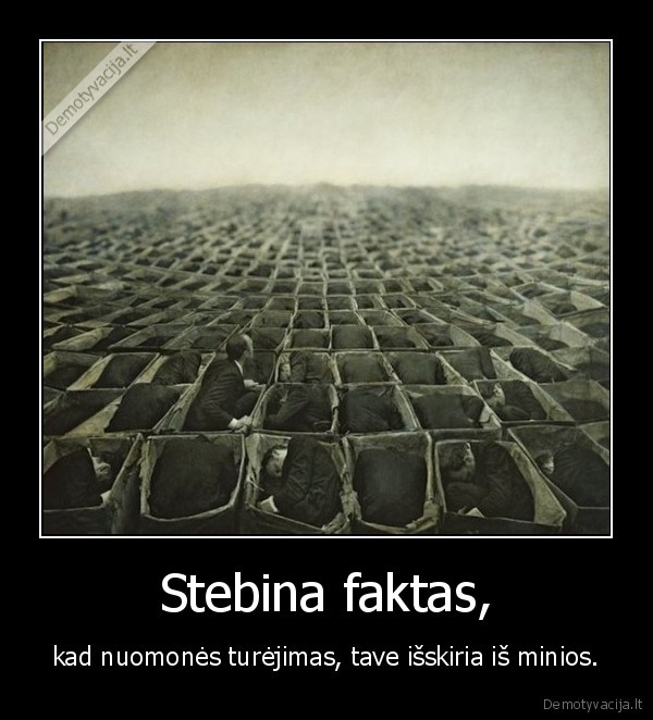 Stebina faktas,