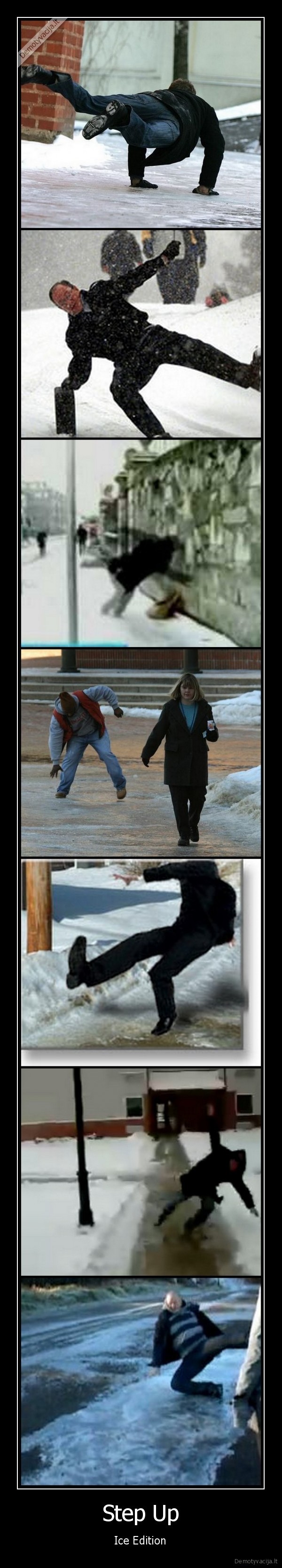 apasna, ant, to, ledo