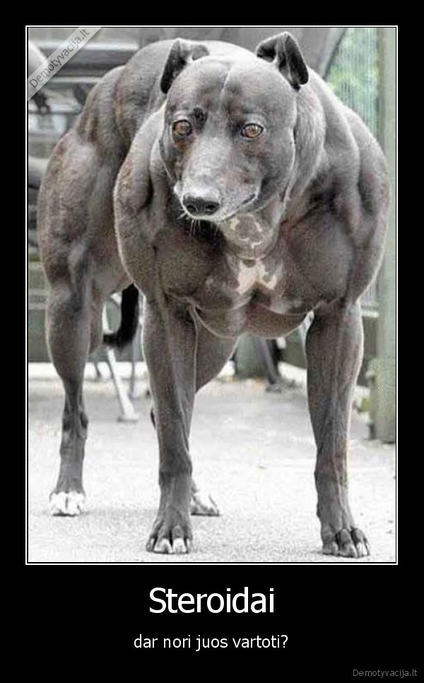 sportas,steroidai,kulturizmas