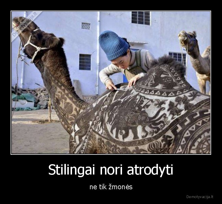 kupranugaris,stilingai,sukuosena