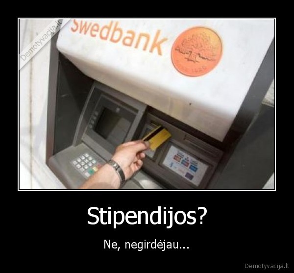 stipkes,mokslai,nelankomumas,gaidziai