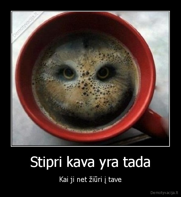 Stipri kava yra tada