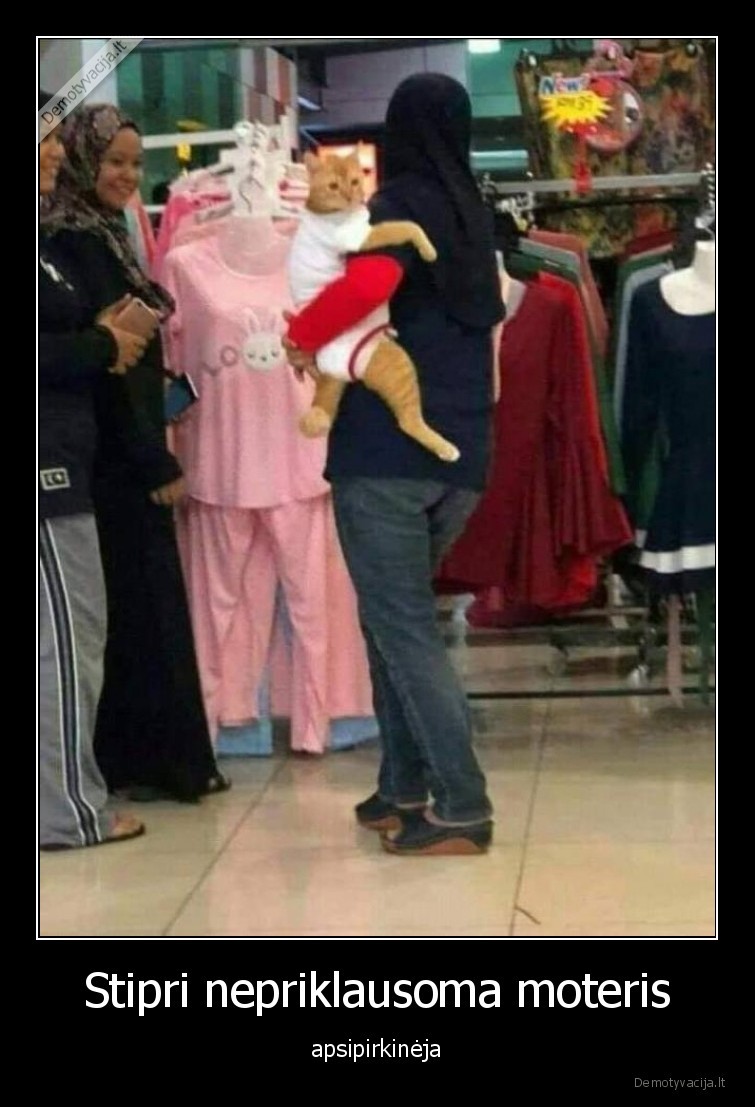 katinas,stipri,nepriklausoma,moteris