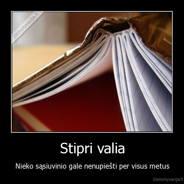 mokslas,vaikai,stipri,valia,sasiuvinys