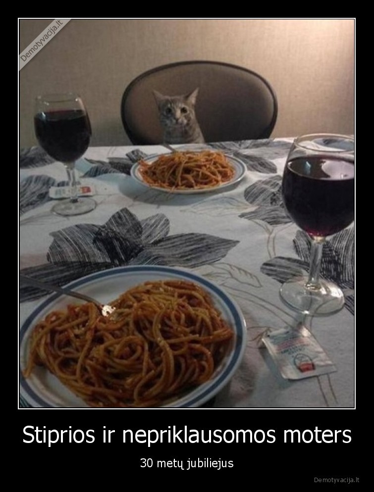 nepriklausoma,moteris,vakariene,katinas