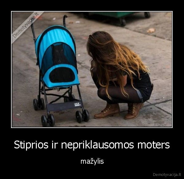 katinas,mergina,vaiko, vezimelis