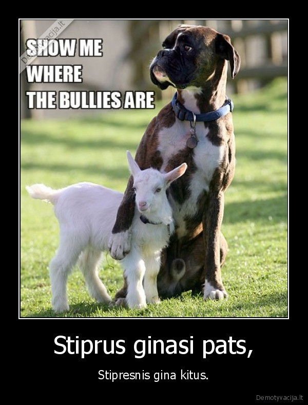 Stiprus ginasi pats,