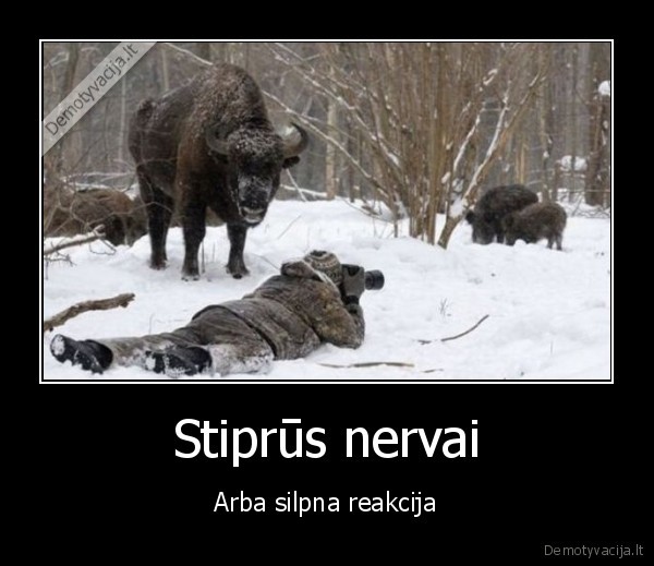 Stiprūs nervai