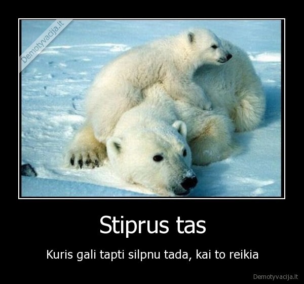 Stiprus tas