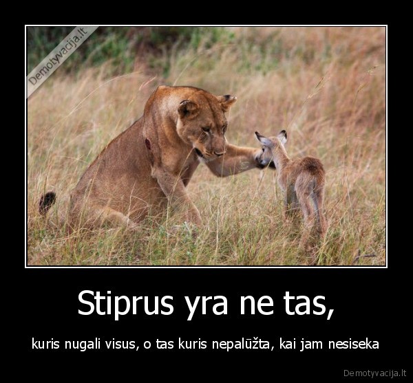stiprus,jega,nepasiduok,nugaletojas
