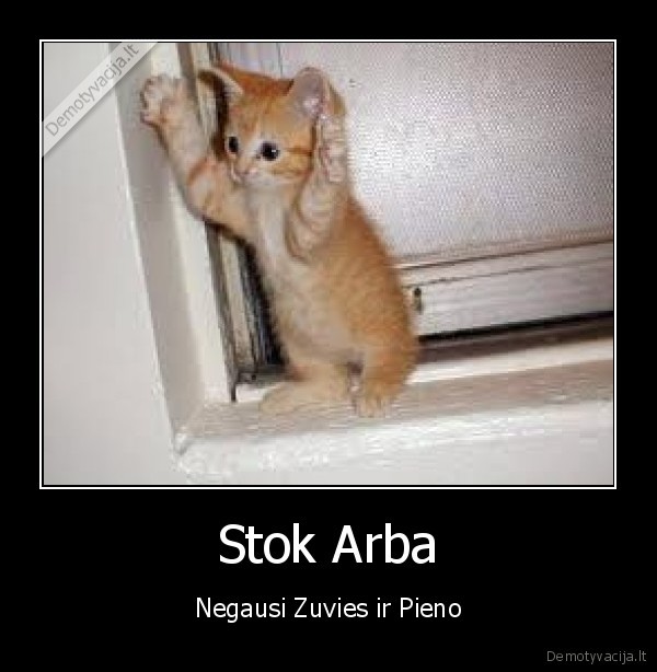 Stok Arba