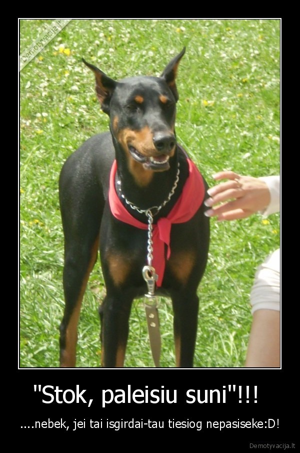 &quot;Stok, paleisiu suni&quot;!!! 