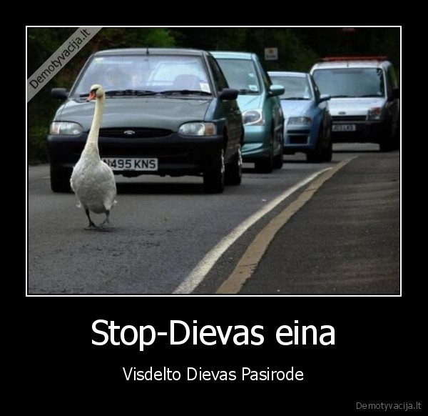 Stop-Dievas eina