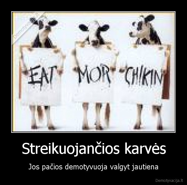 streikas,karves