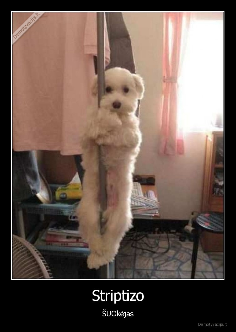 striptizo,sokejas,suo